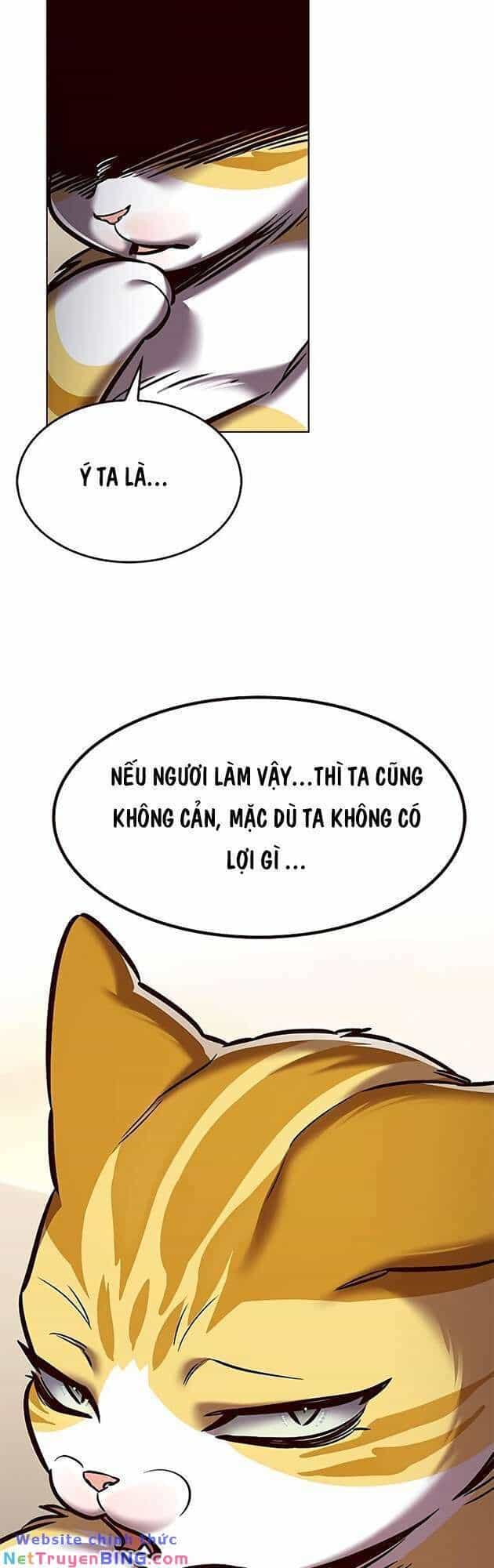 Hoá Thân Thành Mèo - Chương 278 - ảnh 73