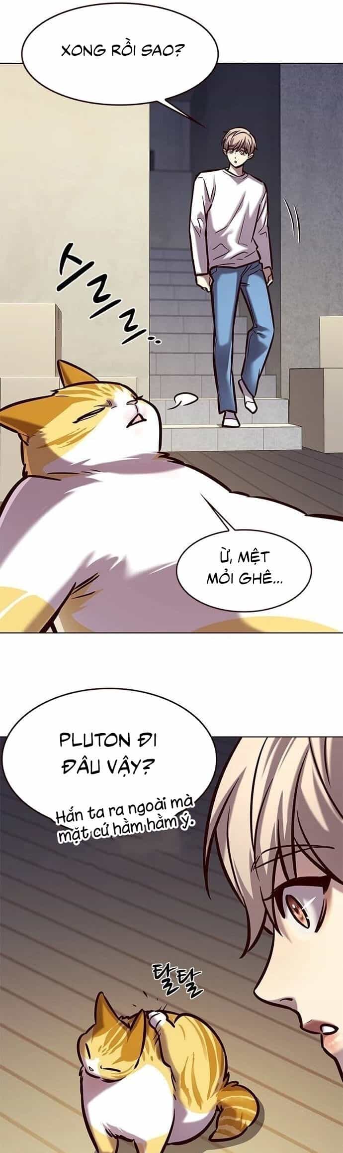 Hoá Thân Thành Mèo - Chương 279 - ảnh 10