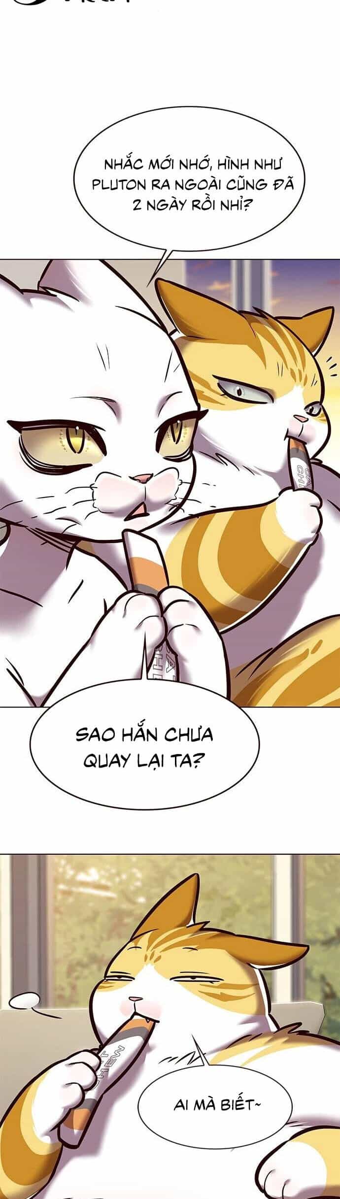 Hoá Thân Thành Mèo - Chương 279 - ảnh 34