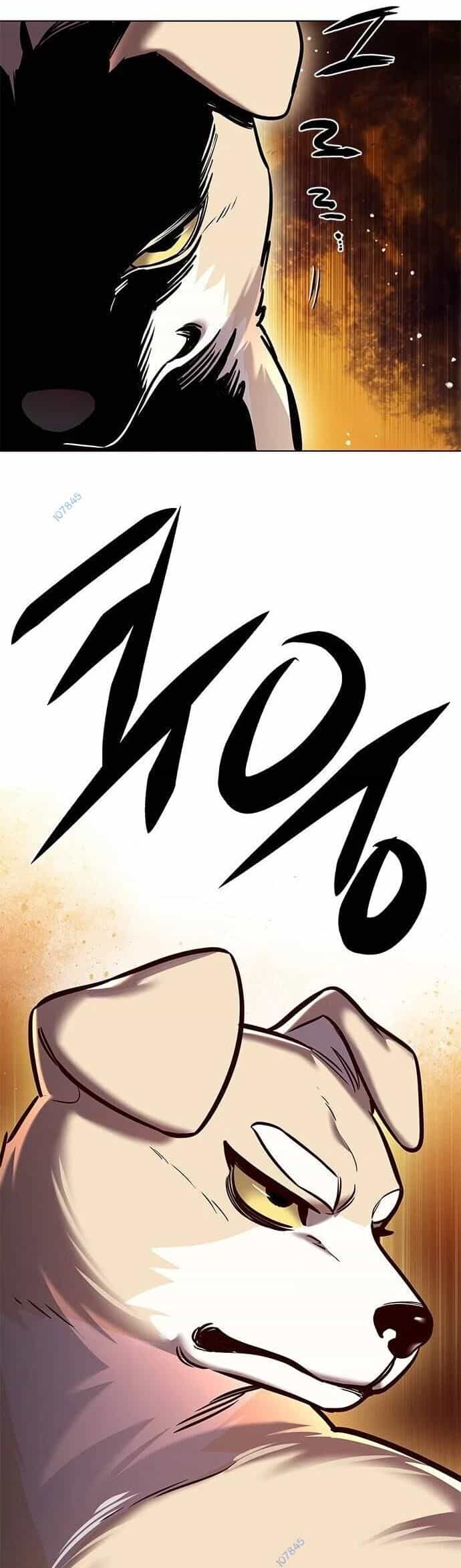 Hoá Thân Thành Mèo - Chương 279 - ảnh 37