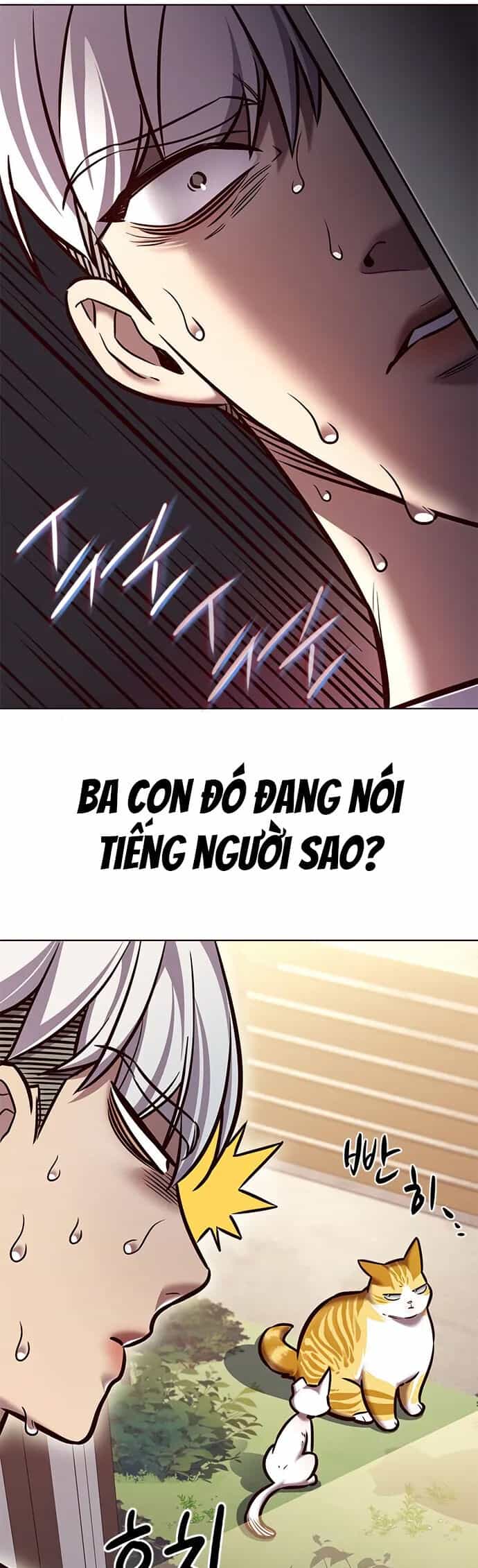 Hoá Thân Thành Mèo - Chương 280 - ảnh 25