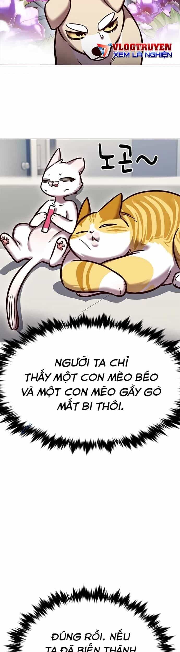 Hoá Thân Thành Mèo - Chương 280 - ảnh 8