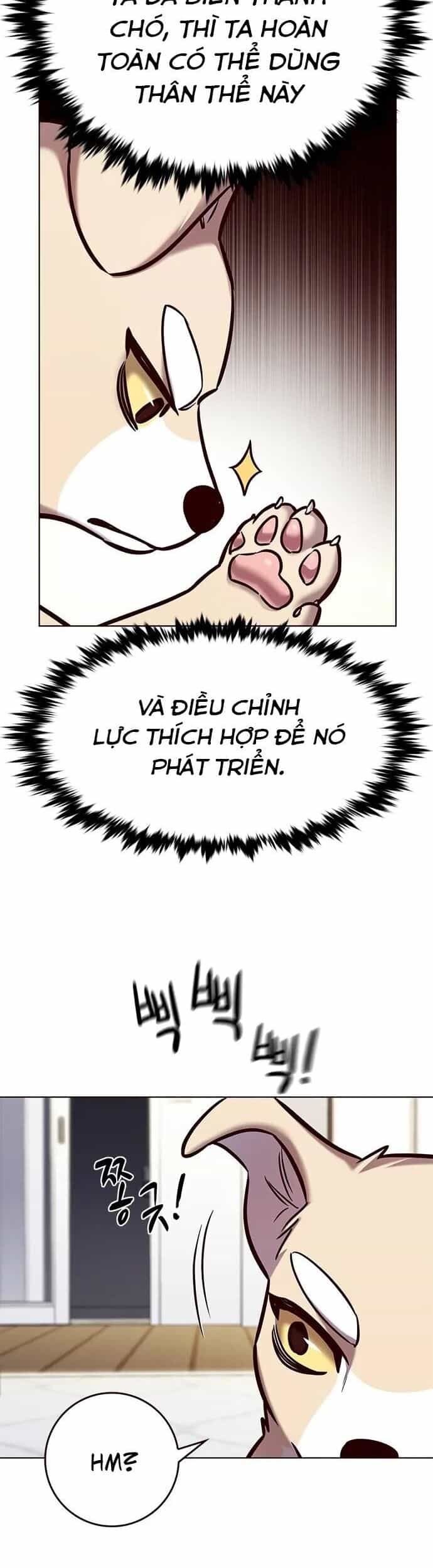 Hoá Thân Thành Mèo - Chương 280 - ảnh 9