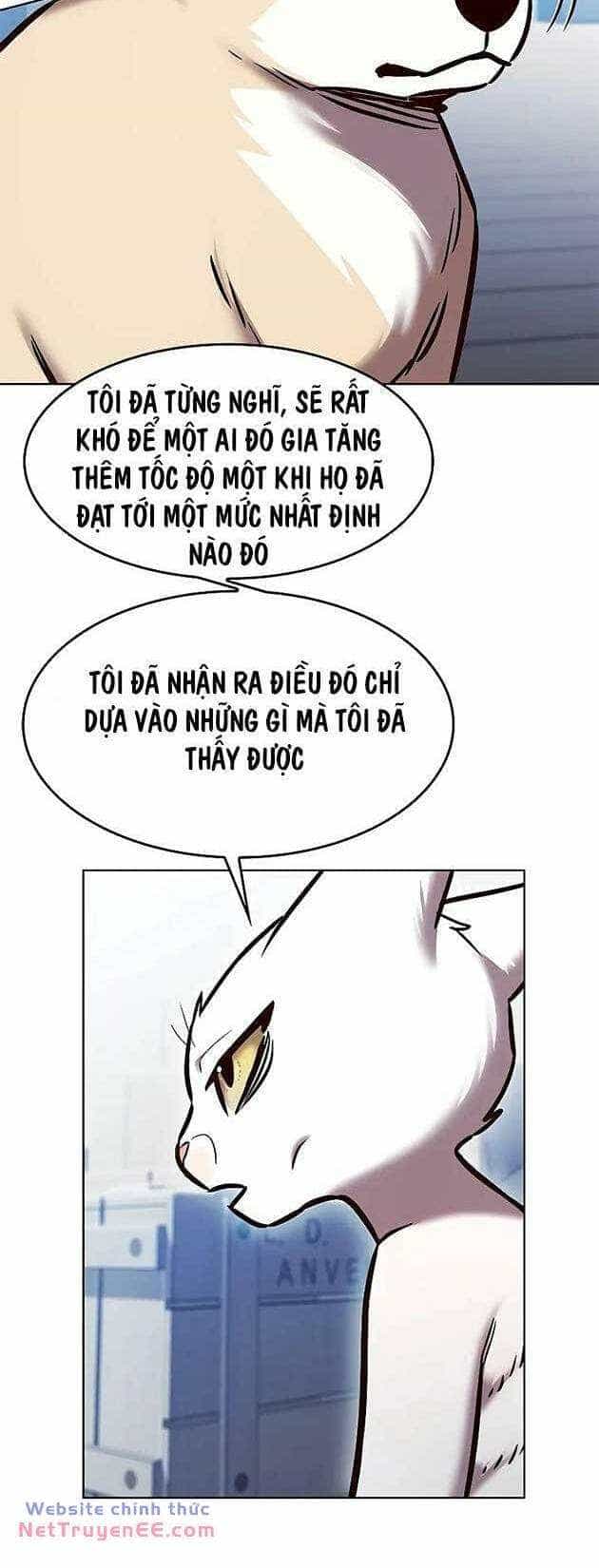 Hoá Thân Thành Mèo - Chương 281 - ảnh 27