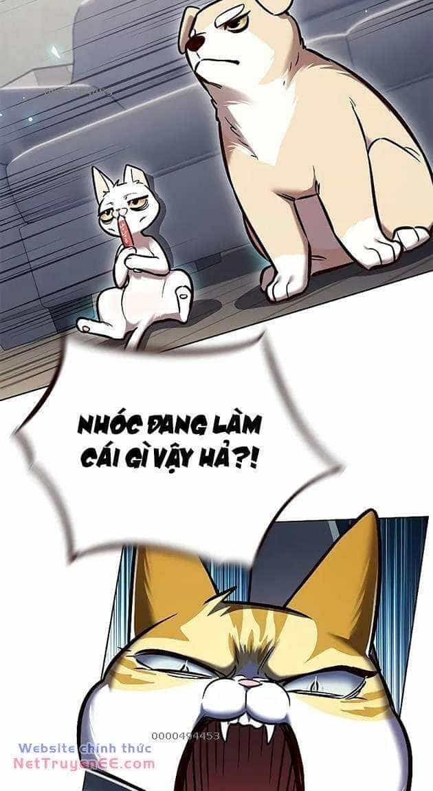 Hoá Thân Thành Mèo - Chương 281 - ảnh 4