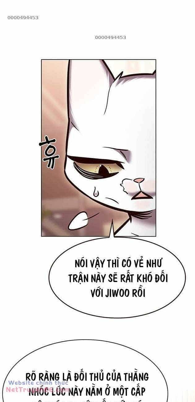 Hoá Thân Thành Mèo - Chương 282 - ảnh 12