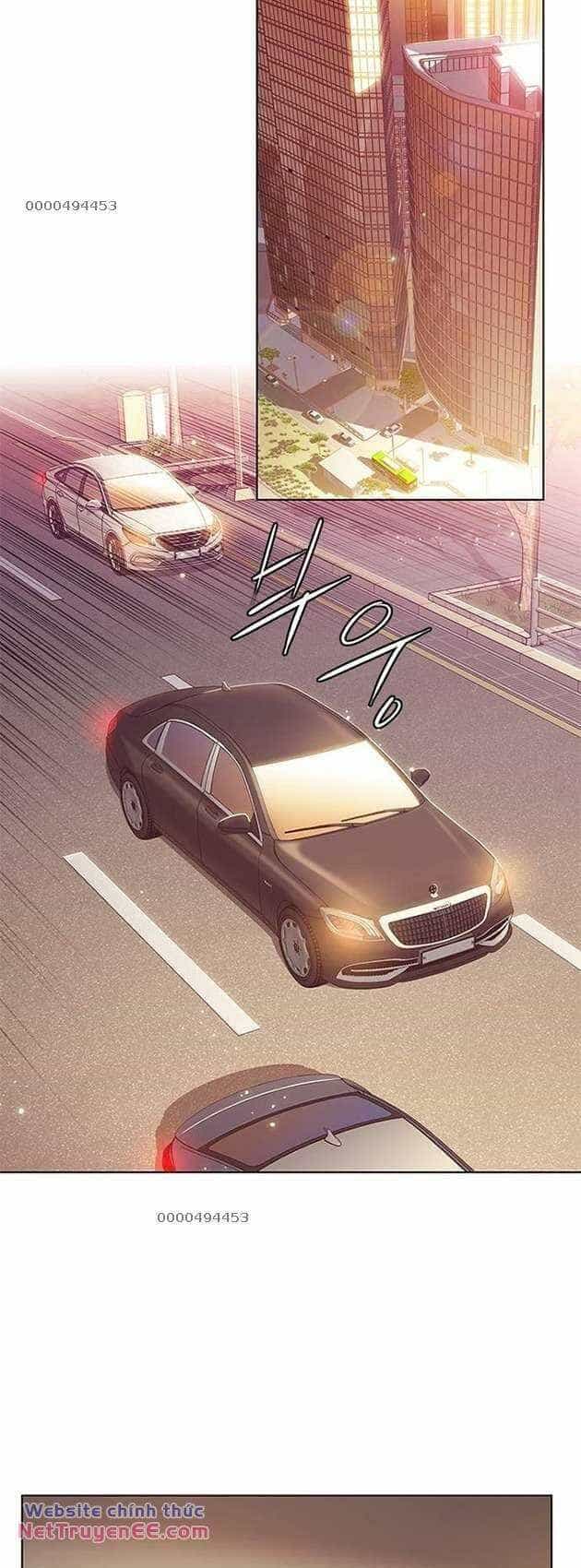 Hoá Thân Thành Mèo - Chương 282 - ảnh 34