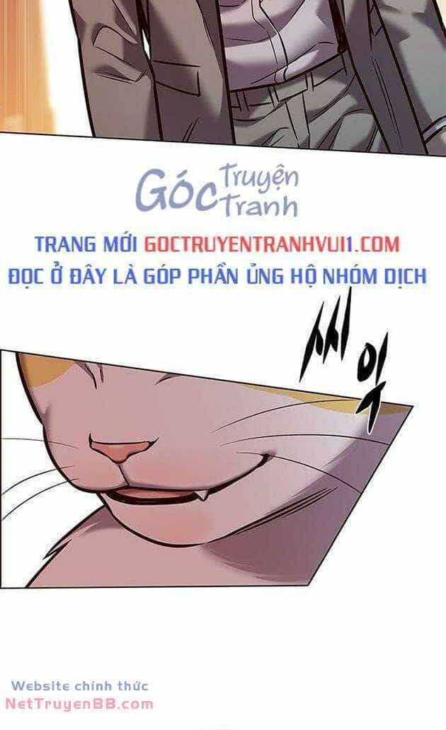 Hoá Thân Thành Mèo - Chương 282 - ảnh 62
