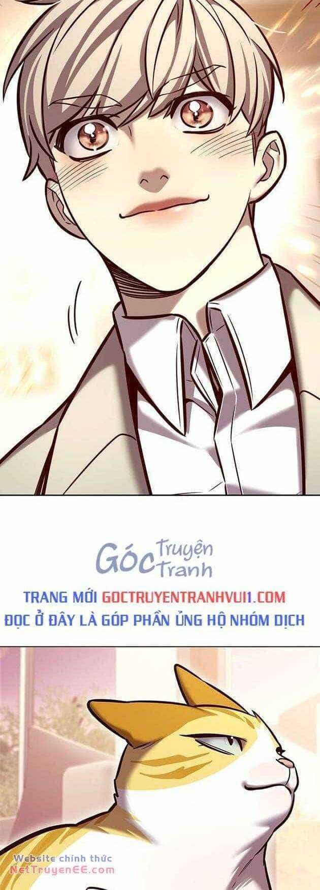 Hoá Thân Thành Mèo - Chương 282 - ảnh 66