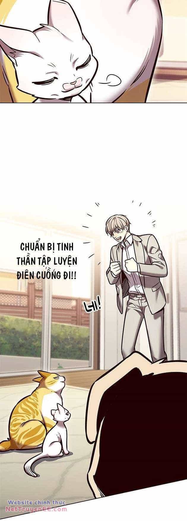 Hoá Thân Thành Mèo - Chương 282 - ảnh 67