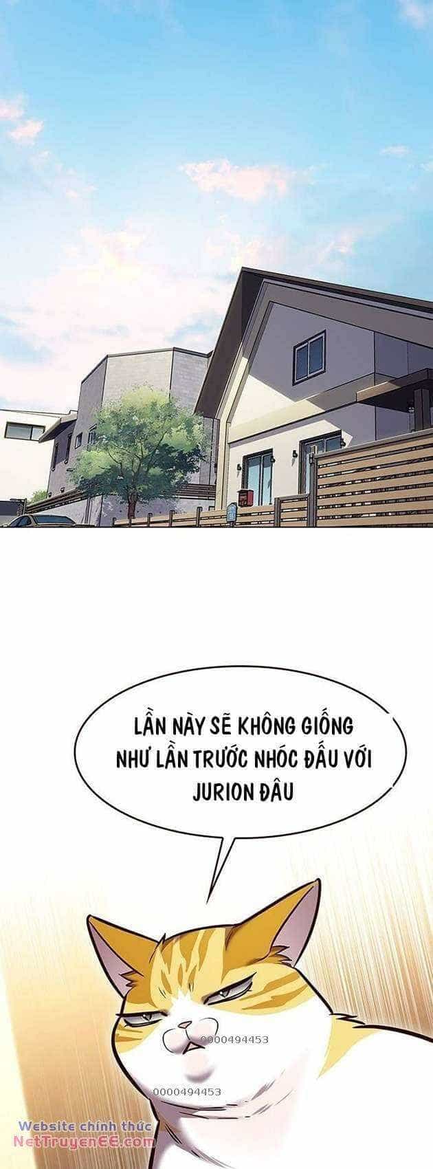 Hoá Thân Thành Mèo - Chương 283 - ảnh 34