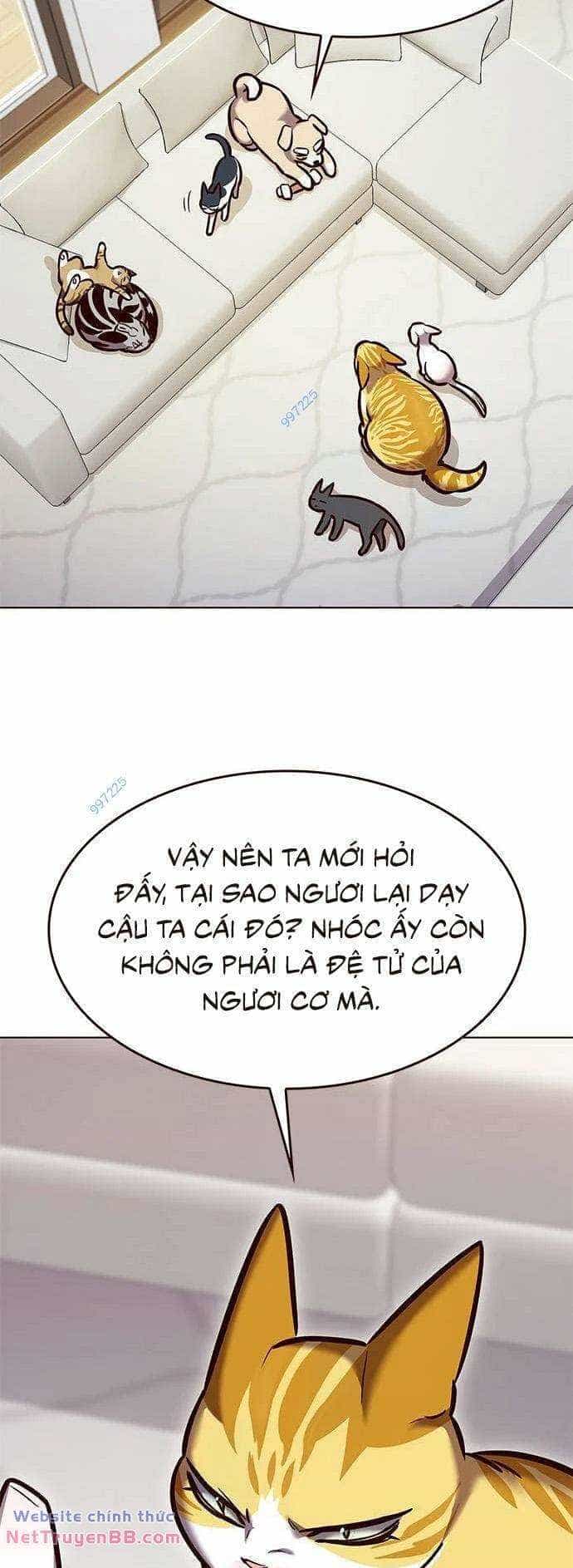Hoá Thân Thành Mèo - Chương 285 - ảnh 10