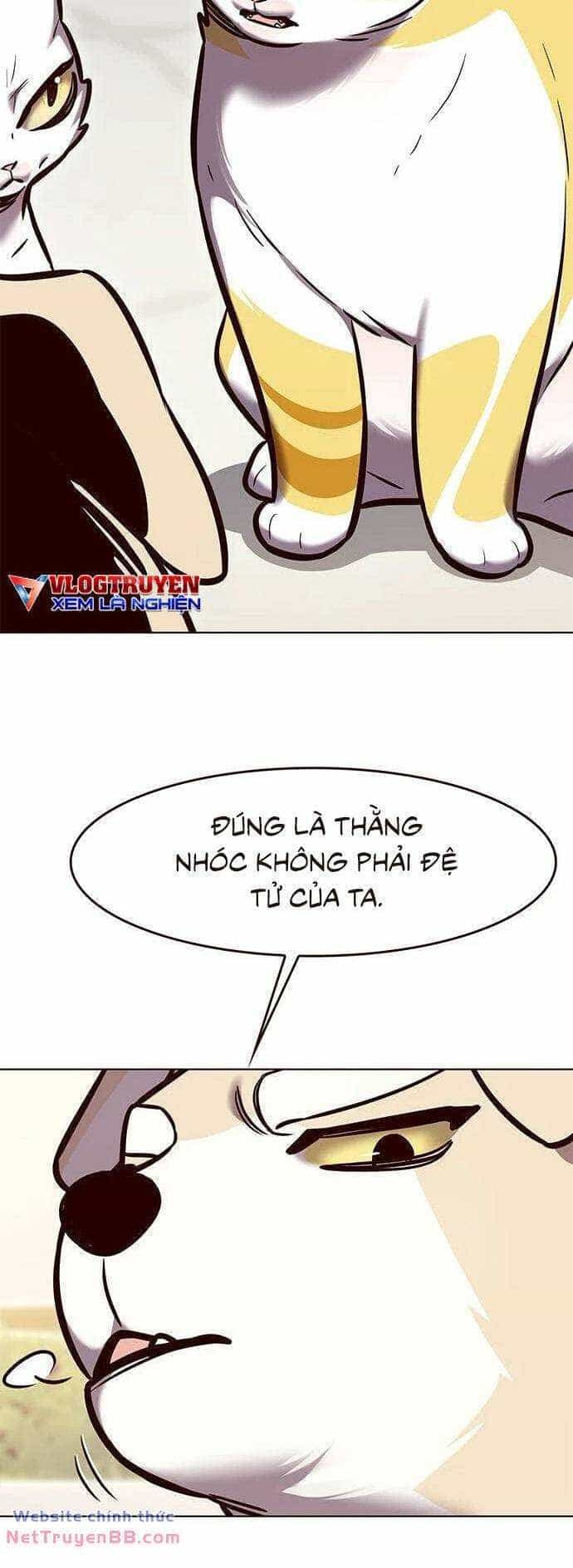 Hoá Thân Thành Mèo - Chương 285 - ảnh 11