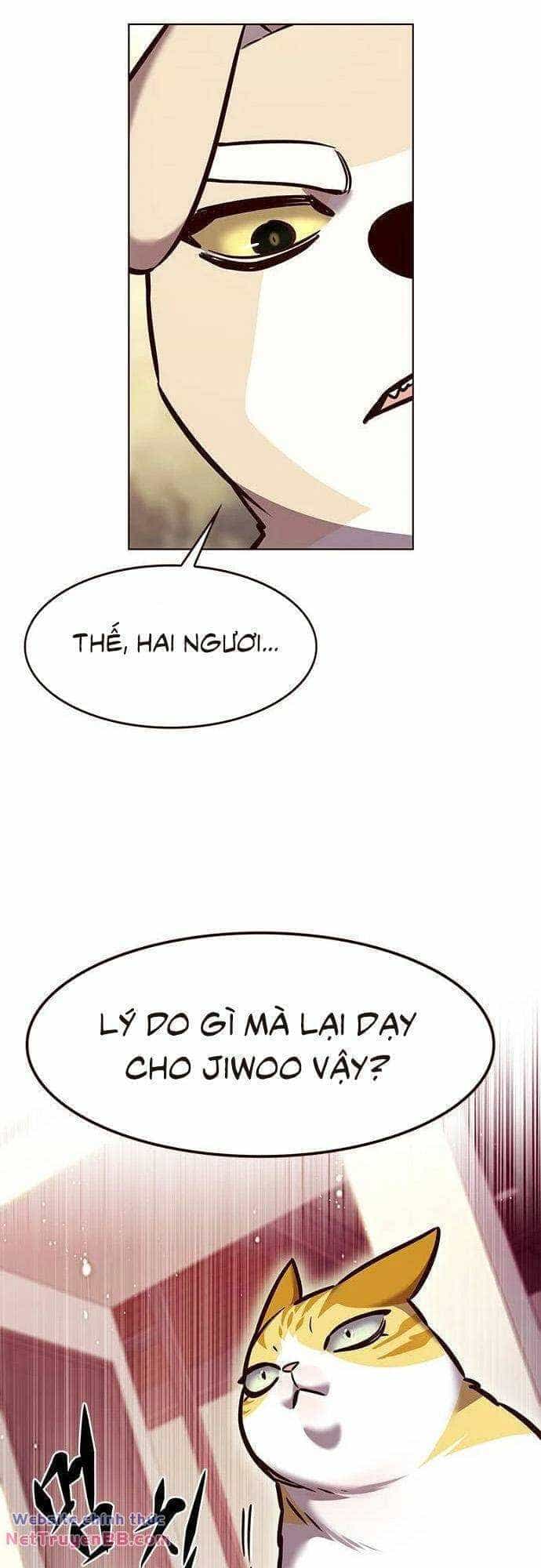 Hoá Thân Thành Mèo - Chương 285 - ảnh 17