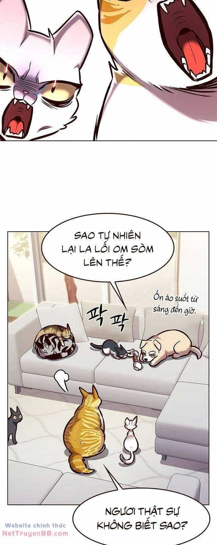 Hoá Thân Thành Mèo - Chương 285 - ảnh 5