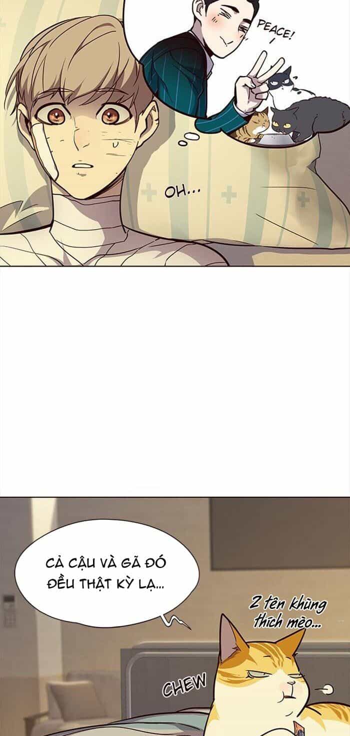 Hoá Thân Thành Mèo - Chương 30 - ảnh 10