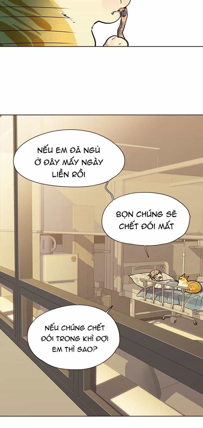 Hoá Thân Thành Mèo - Chương 30 - ảnh 8