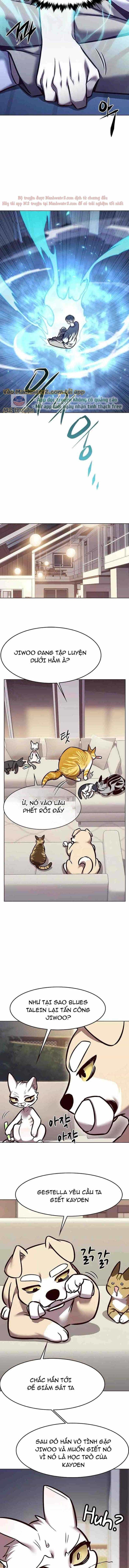 Hoá Thân Thành Mèo - Chương 294 - ảnh 12