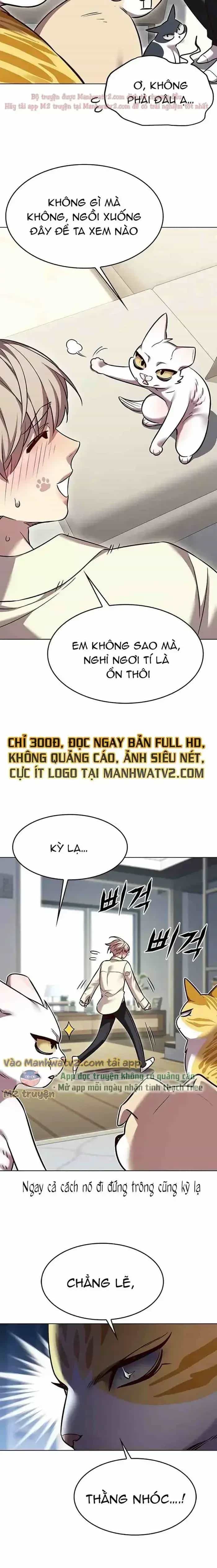 Hoá Thân Thành Mèo - Chương 304 - ảnh 17