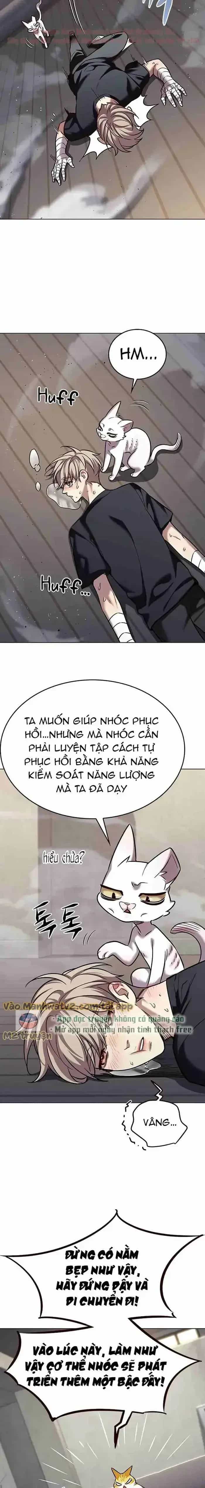 Hoá Thân Thành Mèo - Chương 305 - ảnh 11