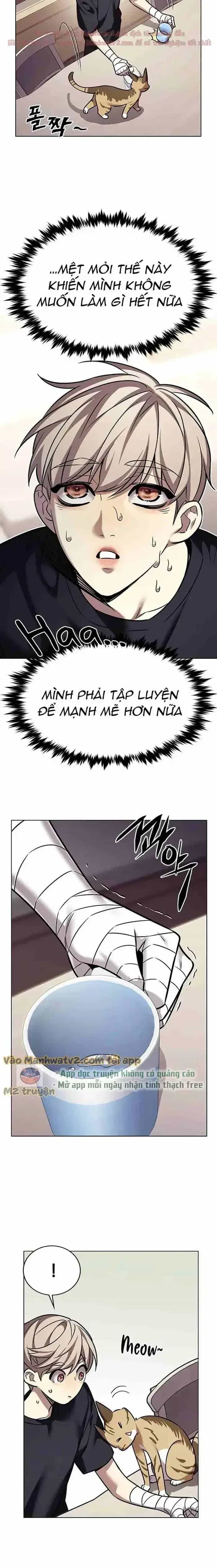Hoá Thân Thành Mèo - Chương 305 - ảnh 14