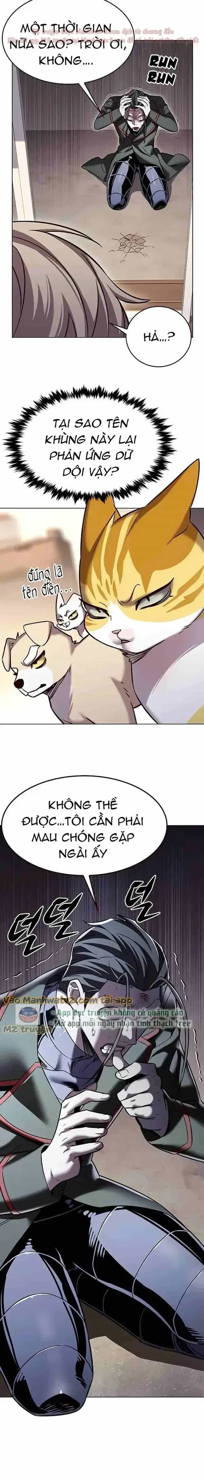 Hoá Thân Thành Mèo - Chương 305 - ảnh 22
