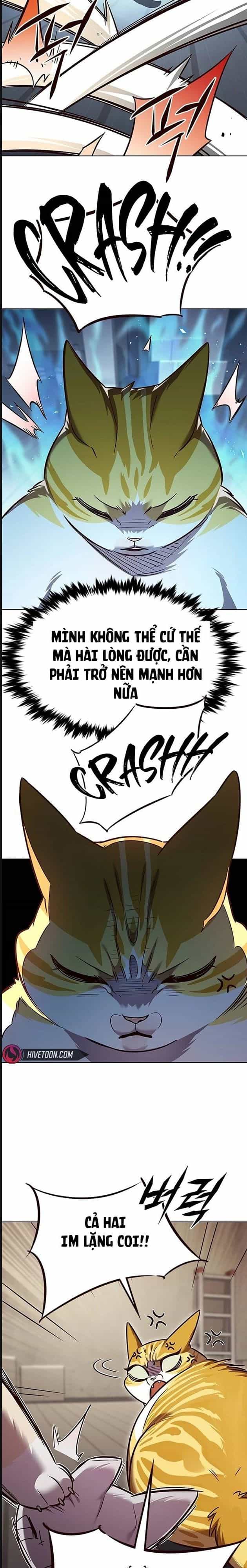 Hoá Thân Thành Mèo - Chương 322 - ảnh 18