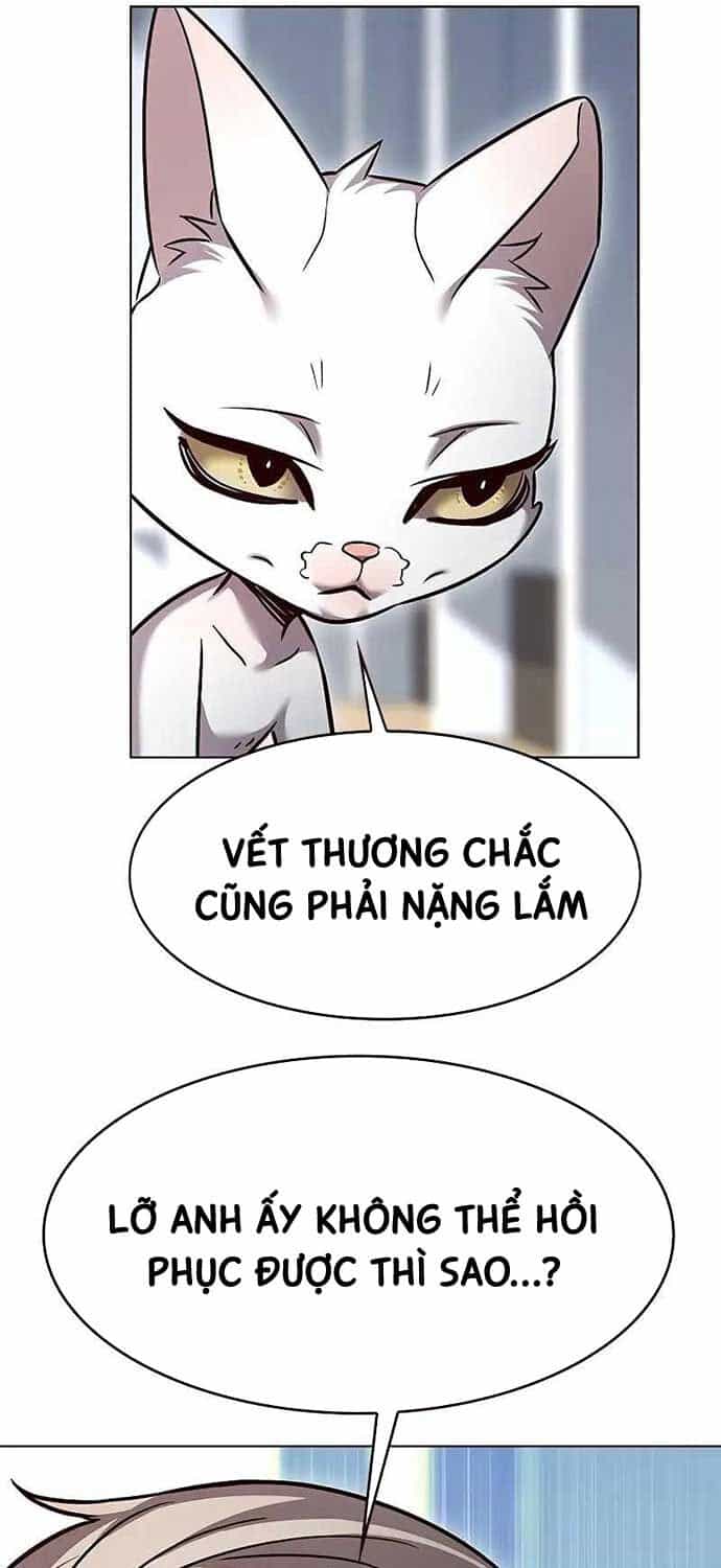 Hoá Thân Thành Mèo - Chương 323 - ảnh 11