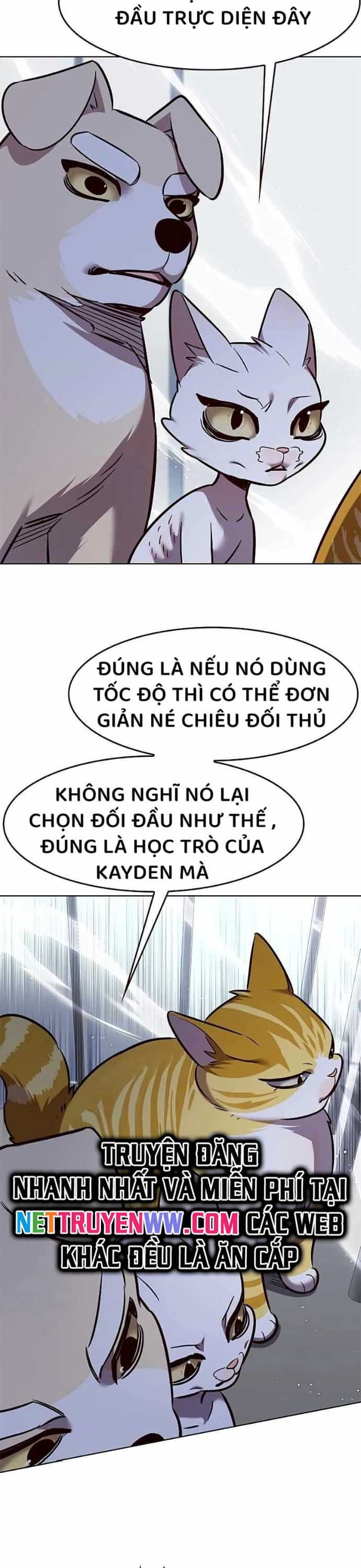 Hoá Thân Thành Mèo - Chương 324 - ảnh 37