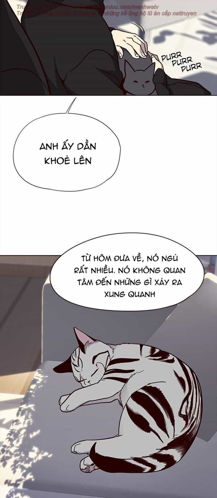 Hoá Thân Thành Mèo - Chương 34 - ảnh 94