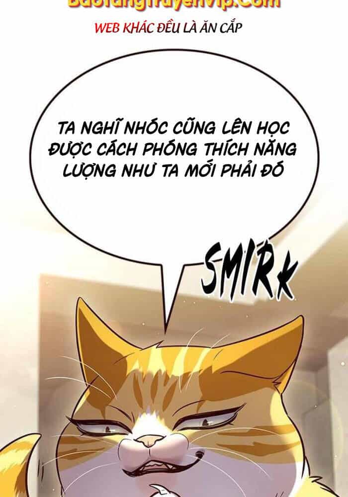 Hoá Thân Thành Mèo - Chương 330 - ảnh 8