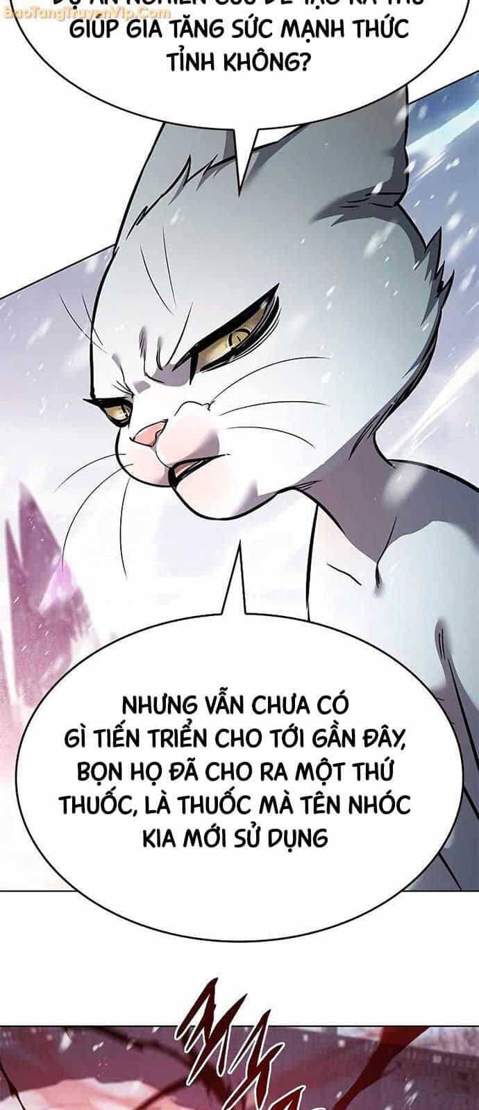Hoá Thân Thành Mèo - Chương 334 - ảnh 6