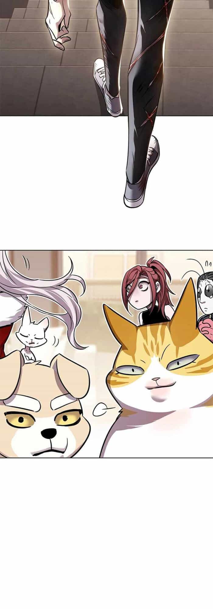 Hoá Thân Thành Mèo - Chương 336 - ảnh 54