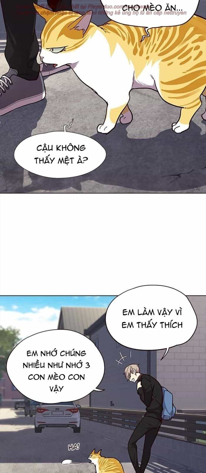 Hoá Thân Thành Mèo - Chương 36 - ảnh 102