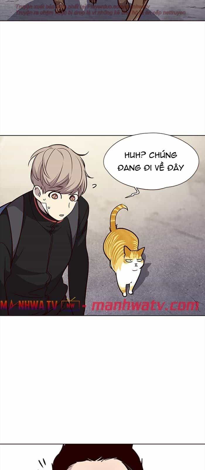 Hoá Thân Thành Mèo - Chương 36 - ảnh 108