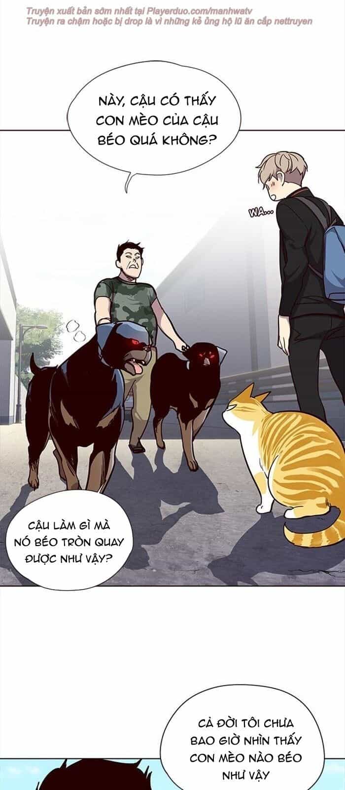Hoá Thân Thành Mèo - Chương 36 - ảnh 112