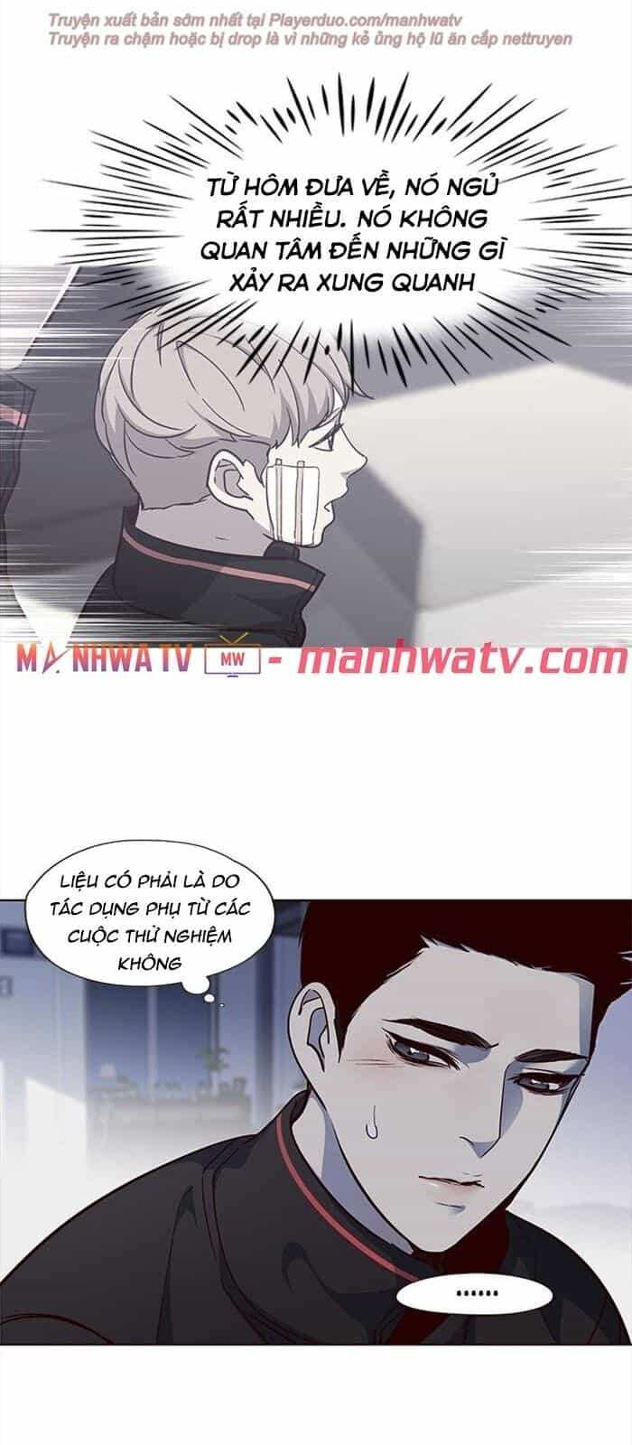 Hoá Thân Thành Mèo - Chương 36 - ảnh 60