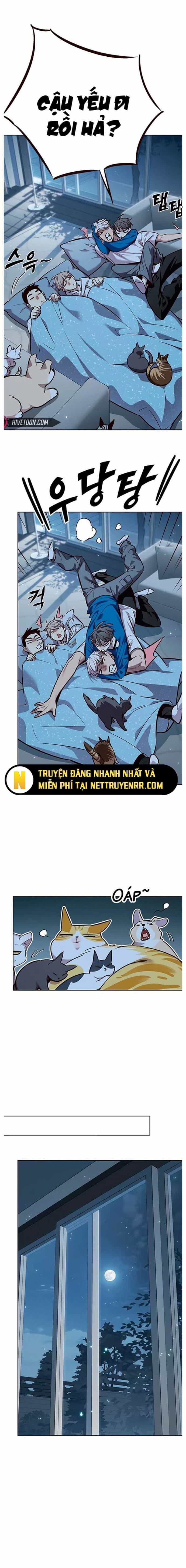Hoá Thân Thành Mèo - Chương 345 - ảnh 10