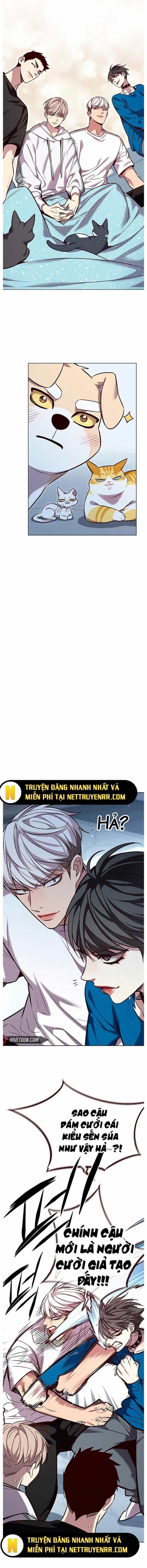 Hoá Thân Thành Mèo - Chương 345 - ảnh 19