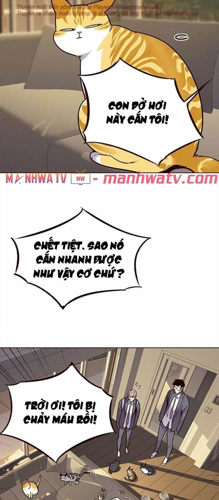 Hoá Thân Thành Mèo - Chương 38 - ảnh 58