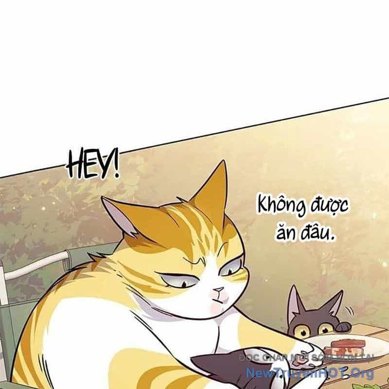 Hoá Thân Thành Mèo - Chương 366 - ảnh 123