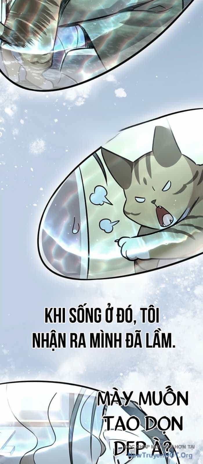 Hoá Thân Thành Mèo - Chương 368 - ảnh 68