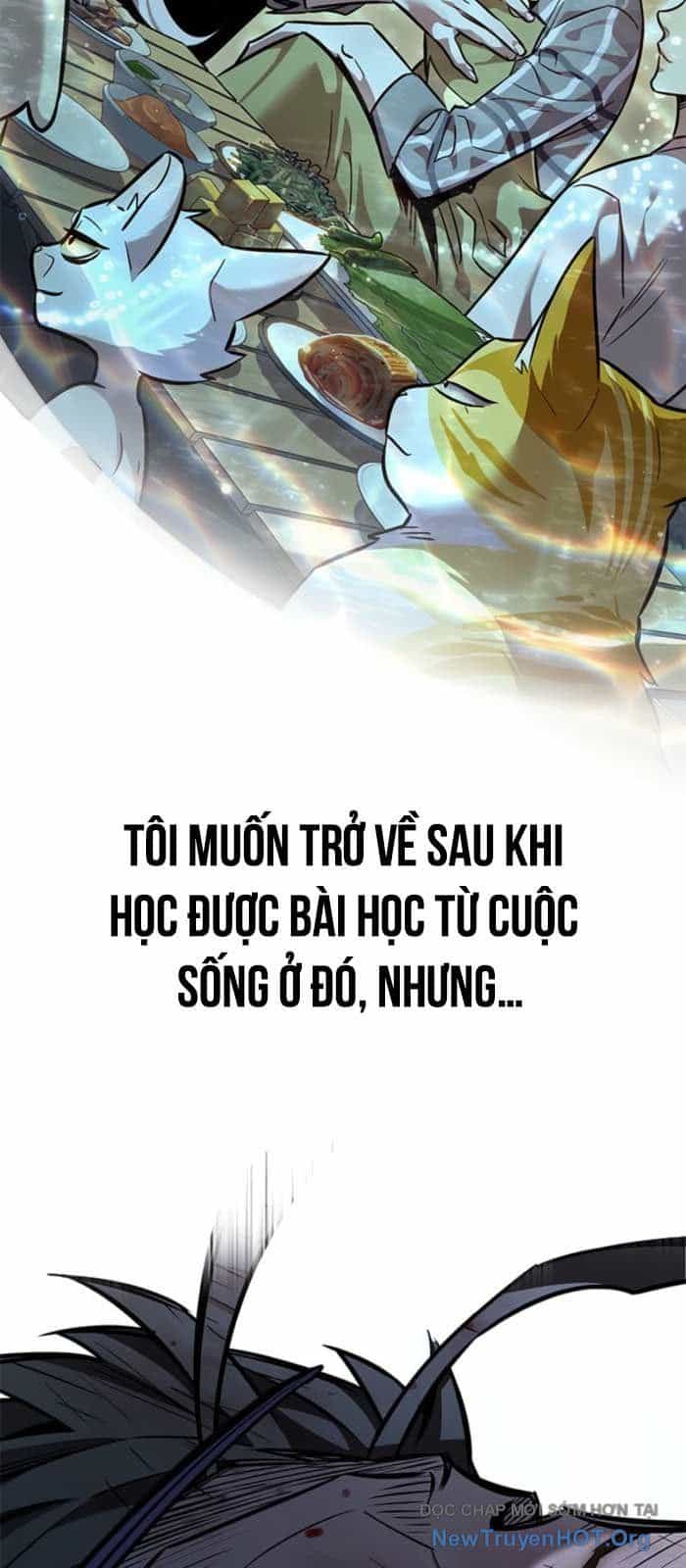 Hoá Thân Thành Mèo - Chương 368 - ảnh 87