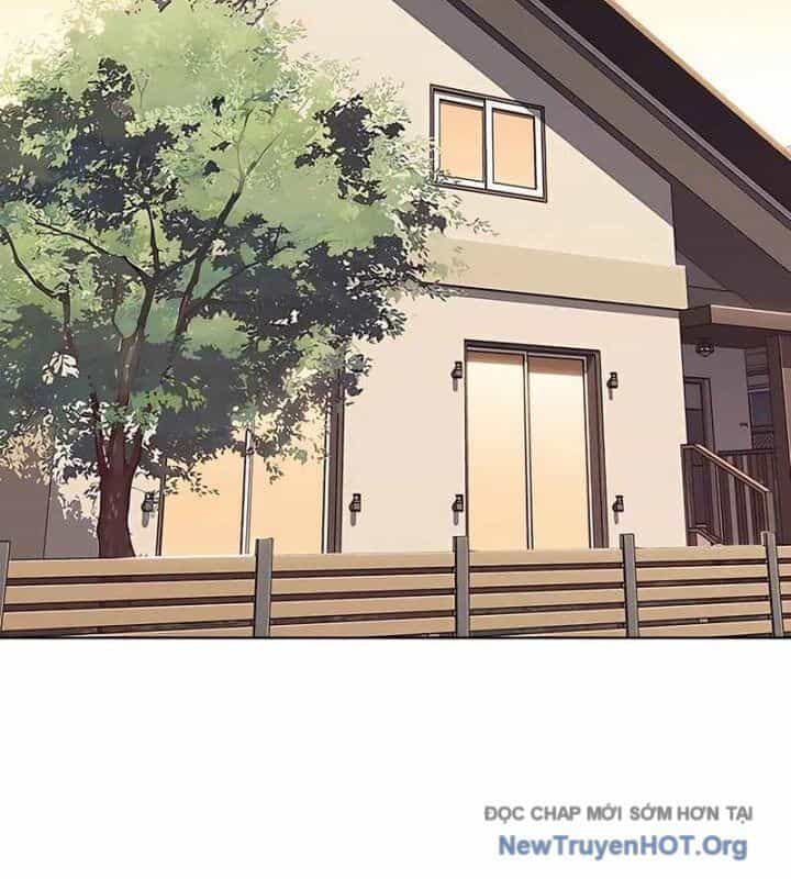 Hoá Thân Thành Mèo - Chương 370 - ảnh 41