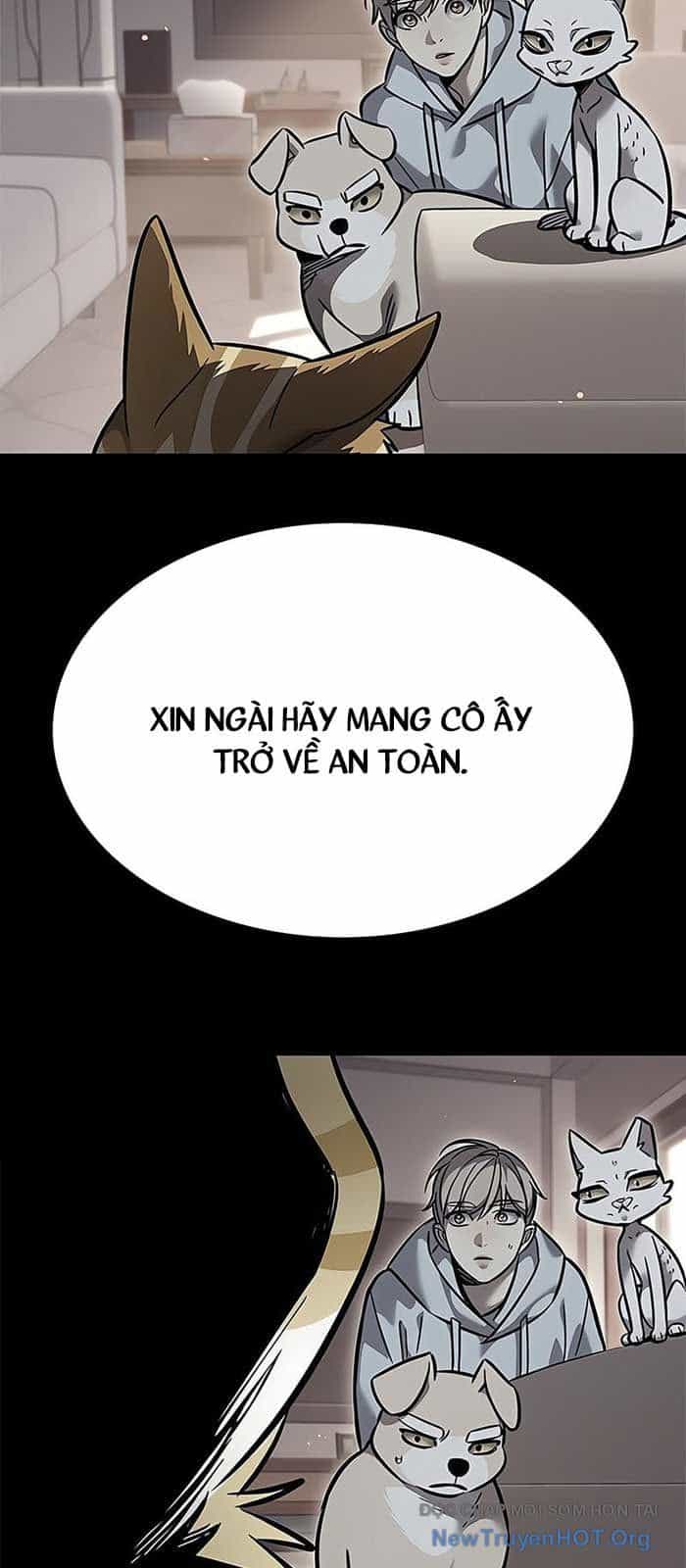 Hoá Thân Thành Mèo - Chương 375 - ảnh 19