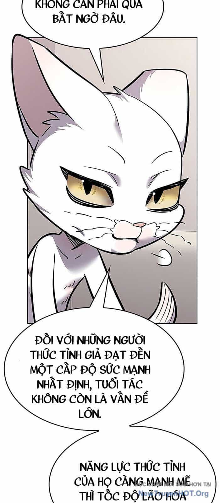 Hoá Thân Thành Mèo - Chương 375 - ảnh 54