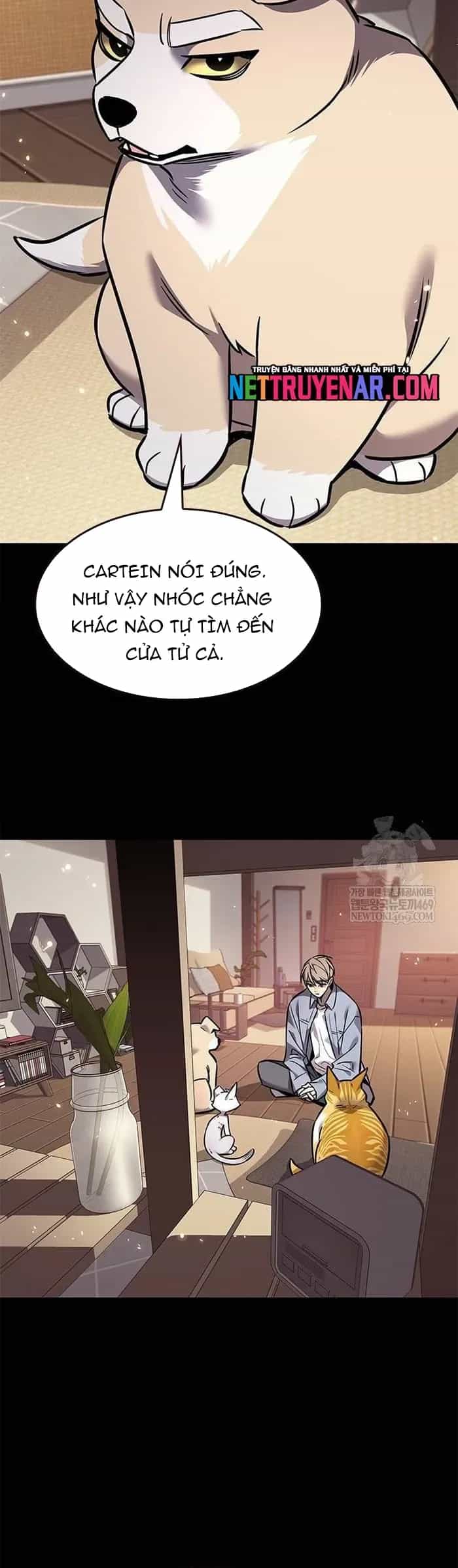 Hoá Thân Thành Mèo - Chương 377 - ảnh 56