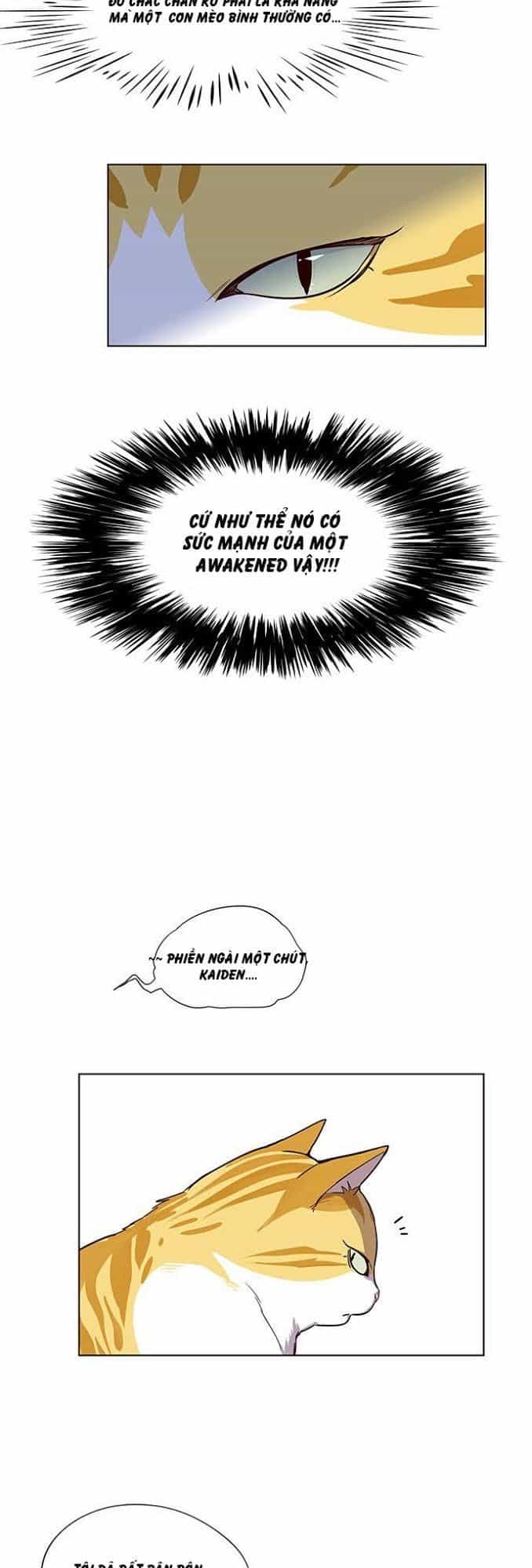 Hoá Thân Thành Mèo - Chương 4 - ảnh 12