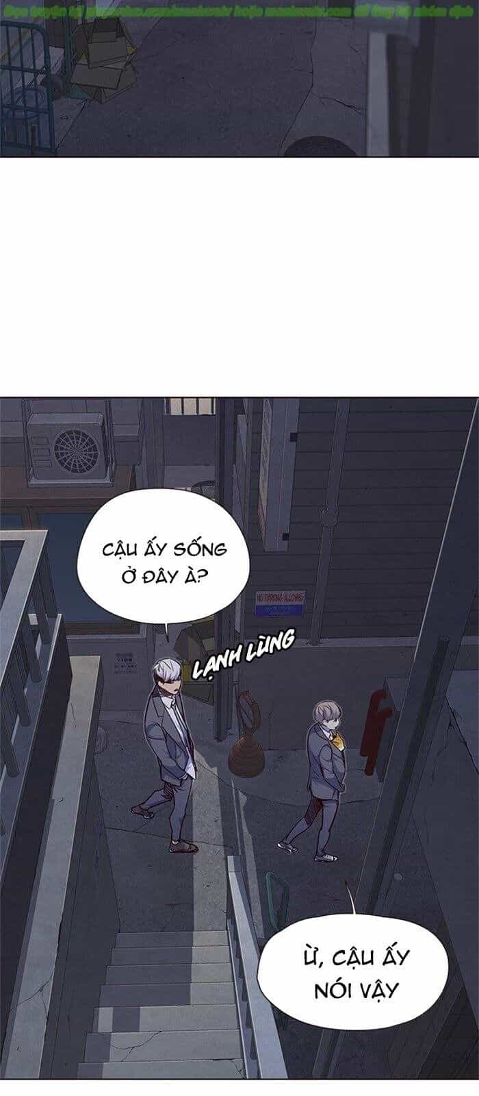 Hoá Thân Thành Mèo - Chương 41 - ảnh 6