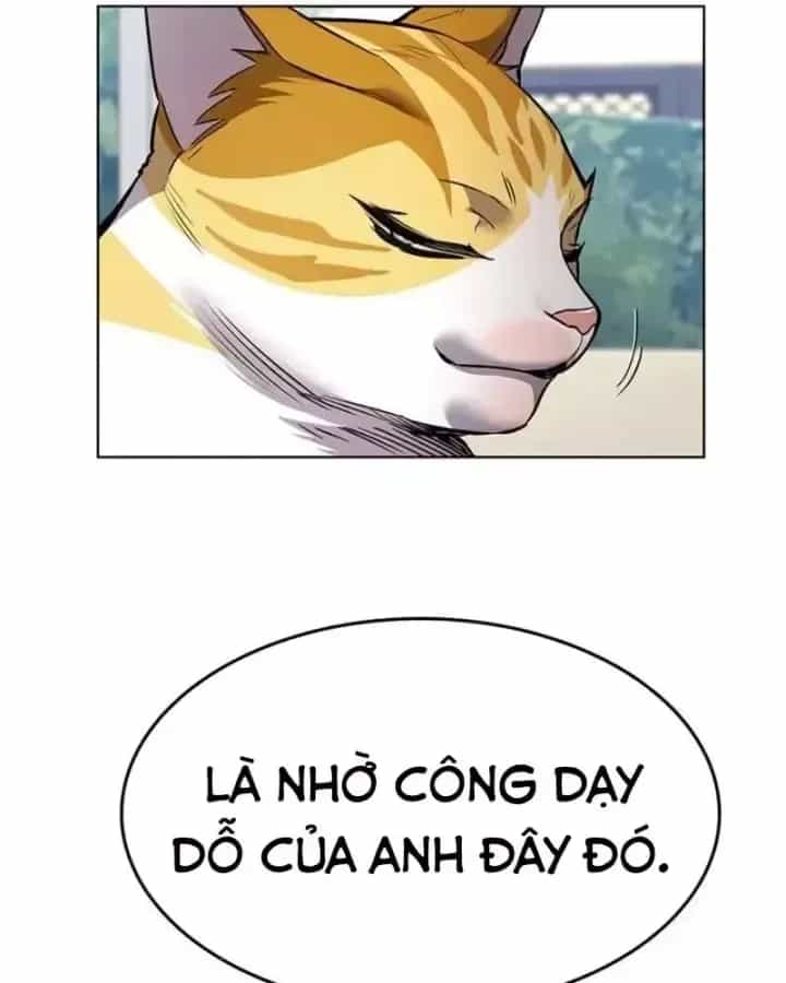 Hoá Thân Thành Mèo - Chương 405 - ảnh 119